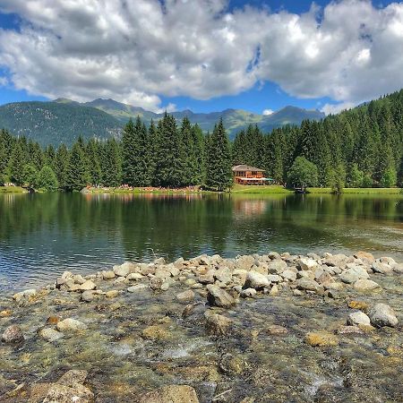 Апартаменты Casa Matteotti Mezzana Trentino Экстерьер фото