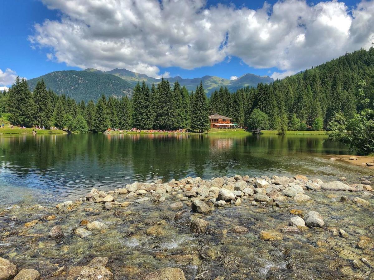 Апартаменты Casa Matteotti Mezzana Trentino Экстерьер фото